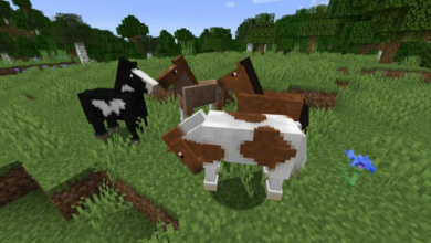 Photo of How DO I Breed Horses in Minecraft?