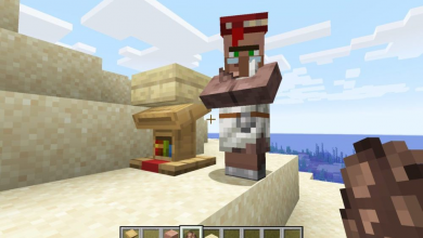 Photo of How to Change Villager Professions In The World of Minecraft?