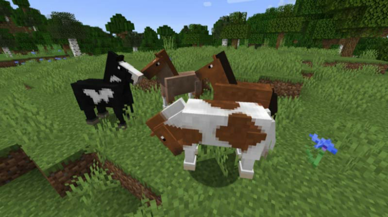 How DO I Breed Horses in Minecraft?