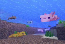 Photo of What Is the Purpose Of Axolotls Minecraft? 