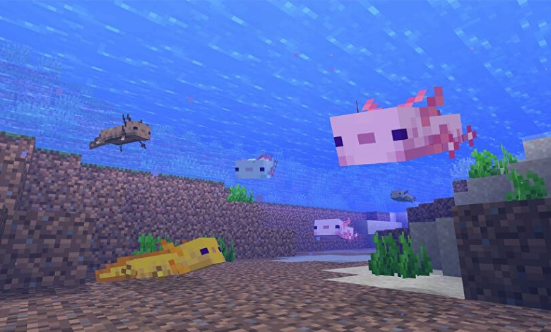 What Is the Purpose Of Axolotls Minecraft? 
