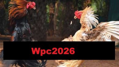 Photo of Wpc2026: Login & Registration Instructions