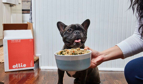 Dog Food Delivery