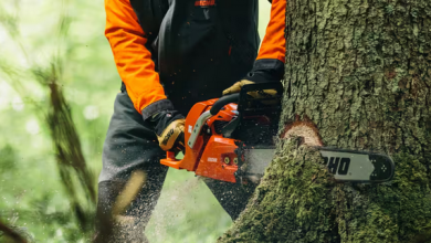 Photo of The Top 7 Chainsaws in 2023