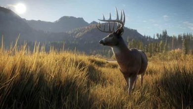 Photo of The Top 5 Hunting Games on Xbox one in 2023
